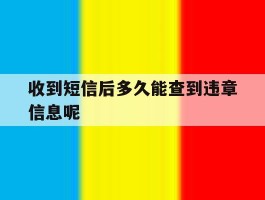 收到短信后多久能查到违章信息呢