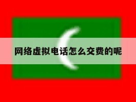 包含网络虚拟电话怎么交费的呢的词条