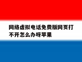 网络虚拟电话免费版网页打不开怎么办呀苹果