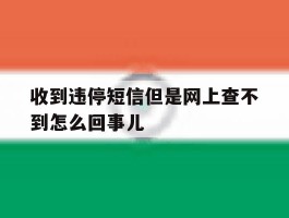 收到违停短信但是网上查不到怎么回事儿