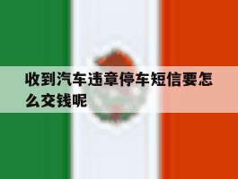 收到汽车违章停车短信要怎么交钱呢
