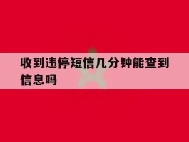 收到违停短信几分钟能查到信息吗