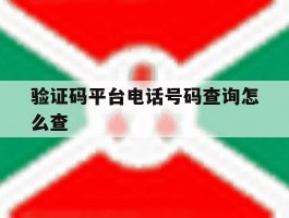验证码平台电话号码查询怎么查