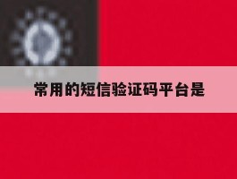 常用的短信验证码平台是