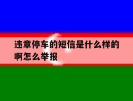 违章停车的短信是什么样的啊怎么举报