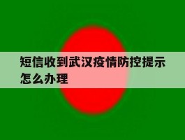 短信收到武汉疫情防控提示怎么办理