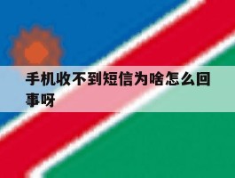 手机收不到短信为啥怎么回事呀