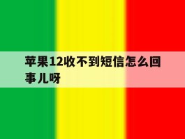 苹果12收不到短信怎么回事儿呀