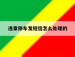 违章停车发短信怎么处理的