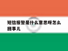短信报警是什么意思呀怎么回事儿