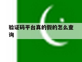 验证码平台真的假的怎么查询