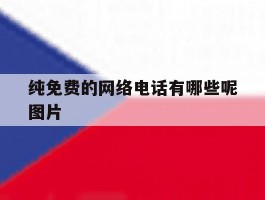 纯免费的网络电话有哪些呢图片