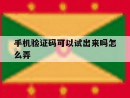 手机验证码可以试出来吗怎么弄