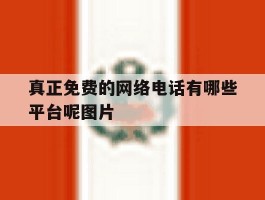 真正免费的网络电话有哪些平台呢图片