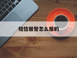 短信报警怎么报的