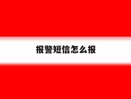 报警短信怎么报
