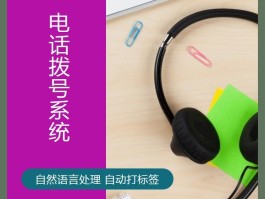 网络电话虚拟拨号电脑版怎么用不了