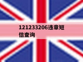 121233206违章短信查询