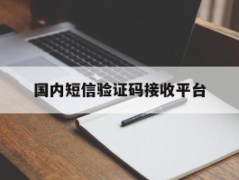 国内短信验证码接收平台