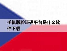 手机版验证码平台是什么软件下载