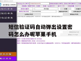 包含短信验证码自动弹出设置密码怎么办呢苹果手机的词条