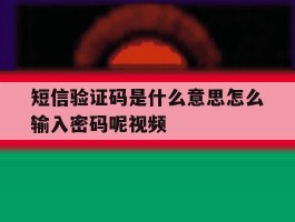 短信验证码是什么意思怎么输入密码呢视频