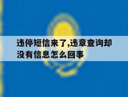 违停短信来了,违章查询却没有信息怎么回事