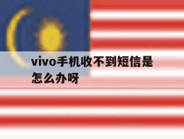 vivo手机收不到短信是怎么办呀