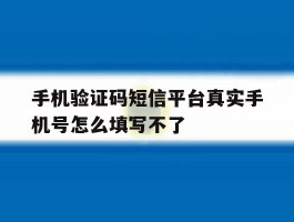 手机验证码短信平台真实手机号怎么填写不了
