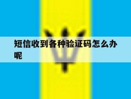 短信收到各种验证码怎么办呢