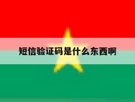 短信验证码是什么东西啊