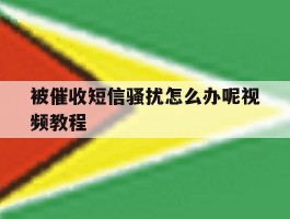 被催收短信骚扰怎么办呢视频教程