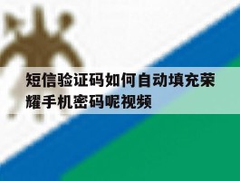 短信验证码如何自动填充荣耀手机密码呢视频