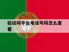 验证码平台电话号码怎么查看