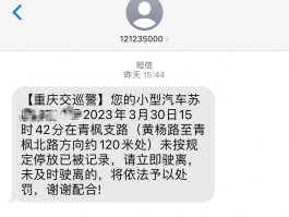 包含发短信说违停已被记录,并处罚怎么办理呢的词条