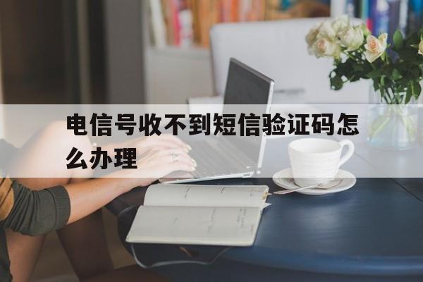 电信号收不到短信验证码怎么办理 电信号收不到短信验证码怎么办理