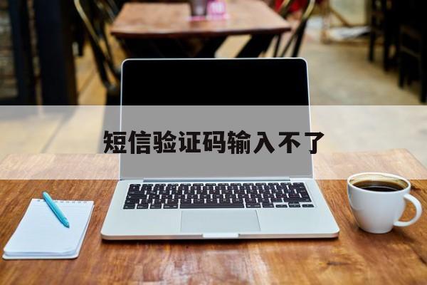 短信验证码输入不了 短信验证码输入不了