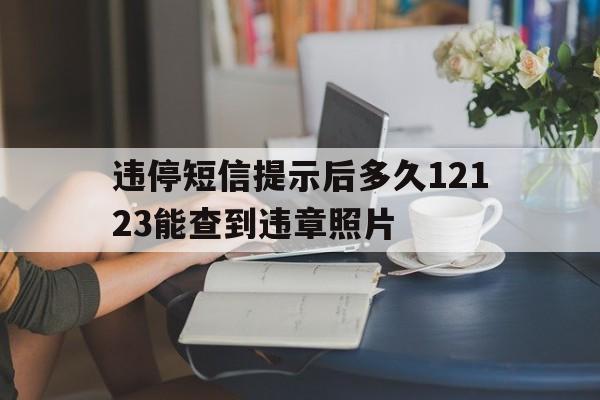 违停短信提示后多久12123能查到违章照片 违停短信提示后多久12123能查到违章照片