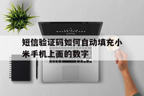 短信验证码如何自动填充小米手机上面的数字 短信验证码如何自动填充小米手机上面的数字