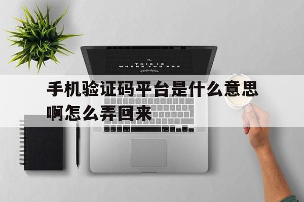 手机验证码平台是什么意思啊怎么弄回来 手机验证码平台是什么意思啊怎么弄回来