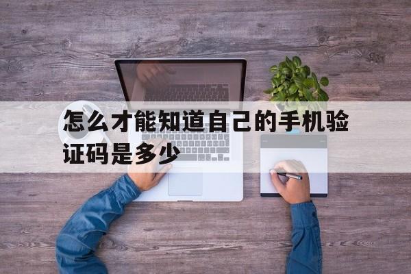 怎么才能知道自己的手机验证码是多少 怎么才能知道自己的手机验证码是多少