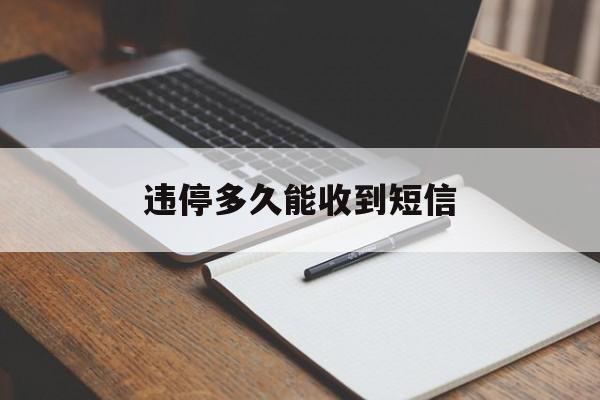 违停多久能收到短信 违停多久能收到短信