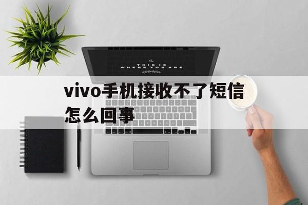 vivo手机接收不了短信怎么回事 vivo手机接收不了短信怎么回事