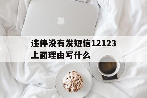 关于违停没有发短信12123上面理由写什么的信息 关于违停没有发短信12123上面理由写什么的信息