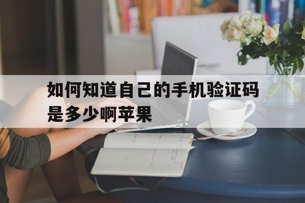 如何知道自己的手机验证码是多少啊苹果 如何知道自己的手机验证码是多少啊苹果