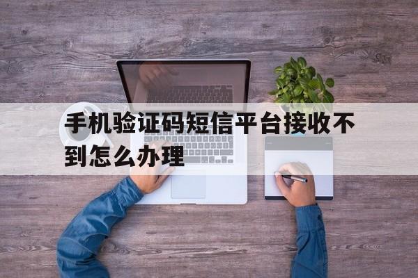 手机验证码短信平台接收不到怎么办理 手机验证码短信平台接收不到怎么办理