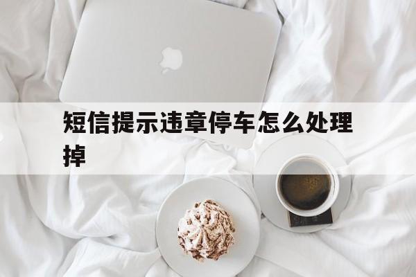短信提示违章停车怎么处理掉 短信提示违章停车怎么处理掉