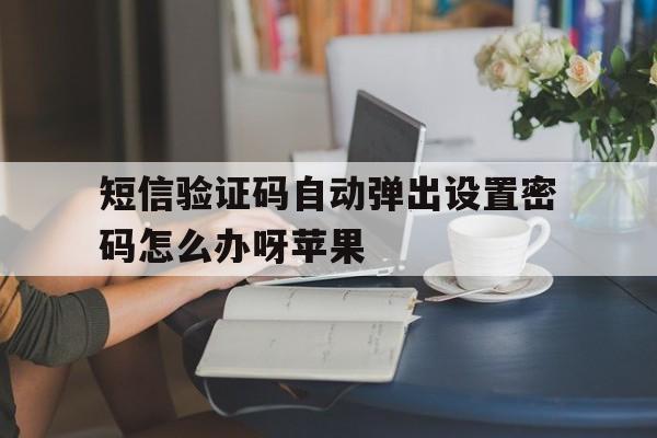 短信验证码自动弹出设置密码怎么办呀苹果 短信验证码自动弹出设置密码怎么办呀苹果