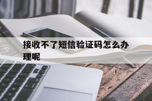 接收不了短信验证码怎么办理呢 接收不了短信验证码怎么办理呢