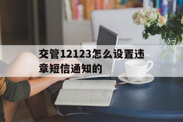 交管12123怎么设置违章短信通知的的简单介绍 交管12123怎么设置违章短信通知的的简单介绍